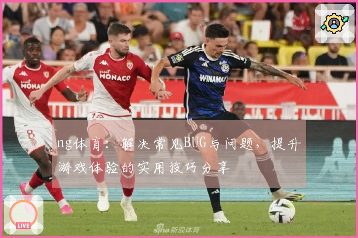 ng体育：解决常见BUG与问题，提升游戏体验的实用技巧分享