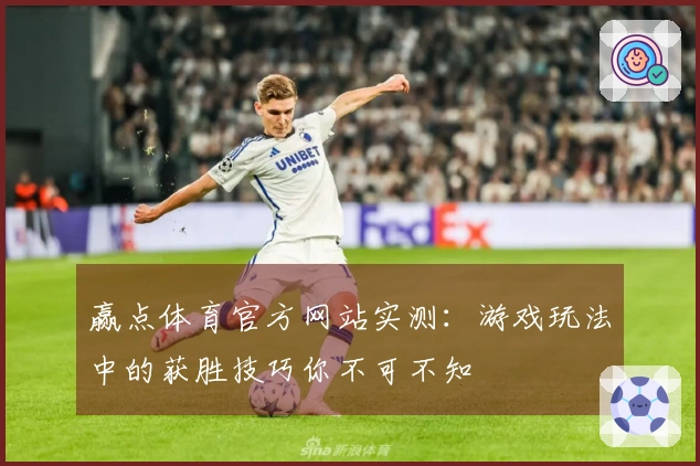 赢点体育官方网站实测：游戏玩法中的获胜技巧你不可不知